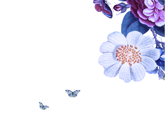 frame