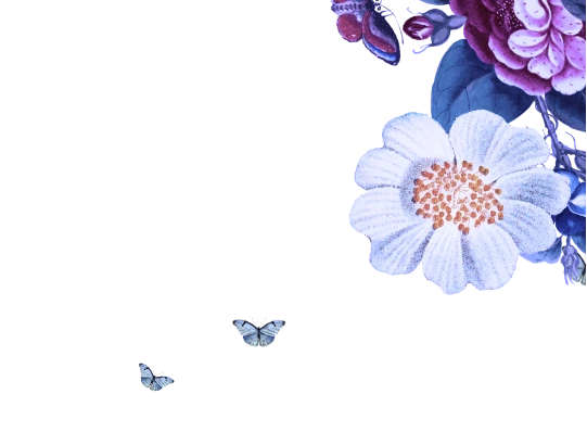 frame